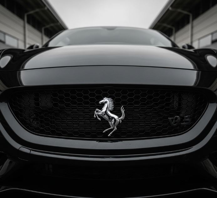 Horse Logo Cars | Which Car Has Horse Logo?